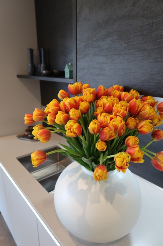 Spring Tulip Bouquet