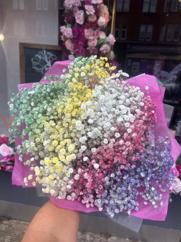 Rainbow Gypsophila Bouquet