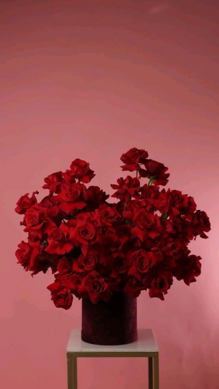 Statement Red Roses